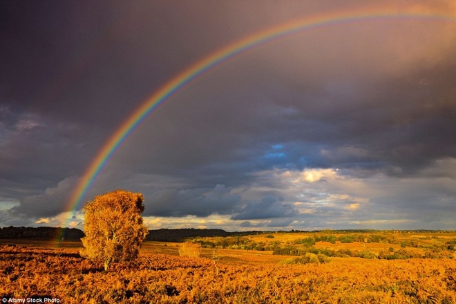 Cảnh đẹp mùa thu nước Anh